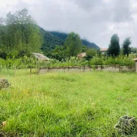 ۲۷۰متر زمین کوهستانی جنگلی با مجوزساخت در ماسوله|فروش زمین و ملک کلنگی|ماسوله, |دیوار