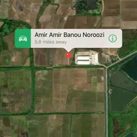 زمین شالیزاری سند منگوله دار