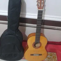 گیتار c40m