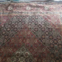 قالی تمیز و قشنگ