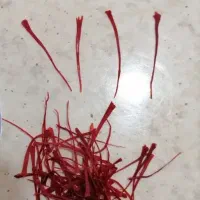 زعفران اصل ودرجه یک مثقال|خوردنی و آشامیدنی|رشت, آزادگان|دیوار