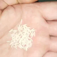 برنج هاشمی درجه یک
