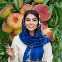 فروش آخرین موجودی نهال هلو + ۱۰۰ اشانتیون رایگان