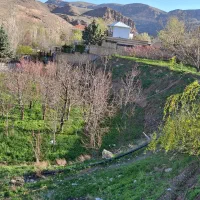 کلبه سوئیسی