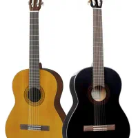 آموزش گیتار پاپ و خوانندگی