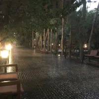 نیروی کار خانم و آقا جهت کار در رستوران