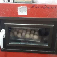 دستگاه جوجه کشی اتومات