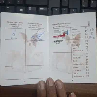 سگ.|سگ|سیرجان, |دیوار