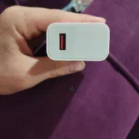 کله شارژر شیامی