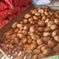 سیب زمینی اسپریت|خوردنی و آشامیدنی|دوتپه, |دیوار