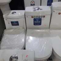 فرنگی ایساتیس به قیمت خرید