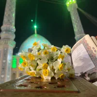 حلقه نامزدی گمشده