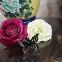 رزین جلوه پیج اینستاگرام|بدلیجات|سبزوار, توحیدشهر|دیوار