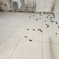 کاشیکاری اجرچینی پلاستر و|خدمات پیشه و مهارت|آبدانان, |دیوار