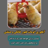 آبخوری  دان‌خوری طیور و پرندگان