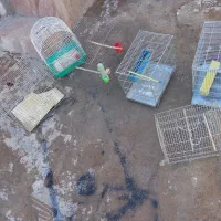 وسیله منقل و|اجاق گاز و لوازم برقی پخت‌وپز|خرم‌آباد, |دیوار