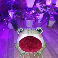 جای خواب گربه دستساز پاپیه ماشه فانتزی(ورق بزن)