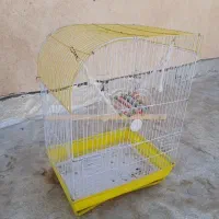 قفس پرنده
