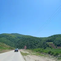 زمین