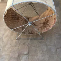 تردمیل خروس