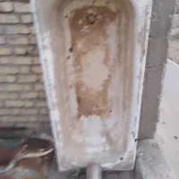 وان آب خوری|حیوانات مزرعه|شیراز, حومه شیراز|دیوار