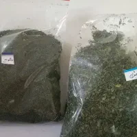 سبزی خشک معطرارگانیک|خوردنی و آشامیدنی|مشهد, رده|دیوار