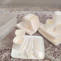 ظروف مسافرتی