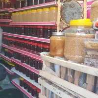 پخش عسل و ژل رویال