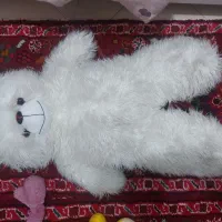 عروسک