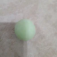 گوهر شب چراغ