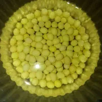 تولید و فروش خاویار حلزون|خزنده|قروه, |دیوار