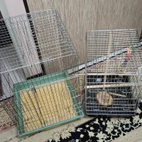 دو عدد قفس طوطی بزرگ و کوچک همراه اسباب بازی