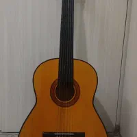 گیتار به همراه کیف