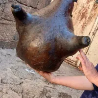 هیزه گوسفندی.سبزی خورشتیی و...|خوردنی و آشامیدنی|شباب, |دیوار