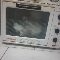 تستر دو المنت جوجه گردون