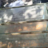 اکواریوم
