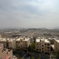 اجاره-در-نخلستان
