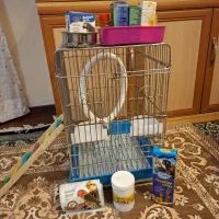 قفس پرنده آمریکایی اصل