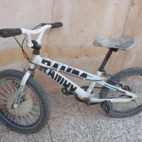 دو چرخه ویوا ۲۰