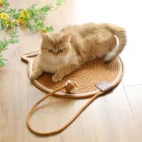 عمده اسباب‌بازی پتشاپ