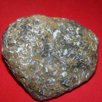 سنگ کلکسیونی|کلکسیون اشیاء عتیقه|علیآباد کتول, |دیوار