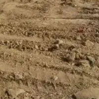 زمین مسکونی روستای مل گاودان دشتی