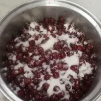شربت و مربا آلبالو طبیعی|حراج|مشهد, ملک‌آباد|دیوار