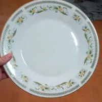 بشقاب ژاپن اصل