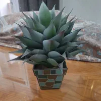 گلدان گل خارجی|گل مصنوعی|تهران, تهرانسر مرکزی|دیوار