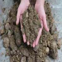 کود اسب موجود میباشد