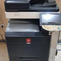 پیرینترکونیکا مینولتا