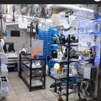 استخدام همکار خانم