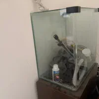 اکواریوم با لوازم خوب|ماهی|اندیشه, اندیشه فاز ۶|دیوار