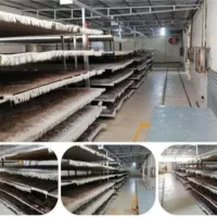 قالیشویی نمونه و مبل شویی نمونه